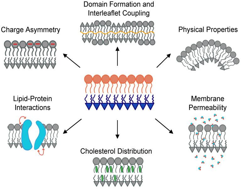 https://cdn.ncbi.nlm.nih.gov/pmc/blobs/bfaf/10384462/8b0e95e2d729/membranes-13-00629-g001.jpg