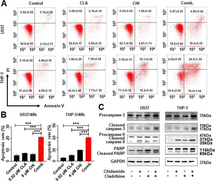 https://cdn.ncbi.nlm.nih.gov/pmc/blobs/bfb0/9972767/257e4e5b2548/40164_2023_383_Fig4_HTML.jpg