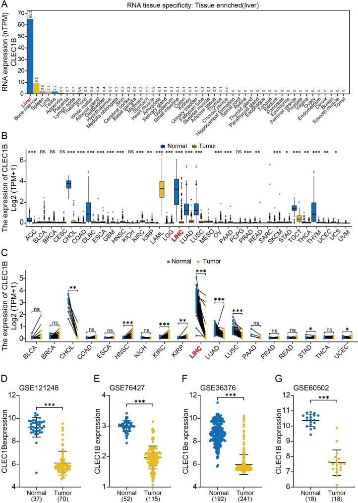 https://cdn.ncbi.nlm.nih.gov/pmc/blobs/bfb1/10262401/90aa1ac07267/12935_2023_2939_Fig1_HTML.jpg