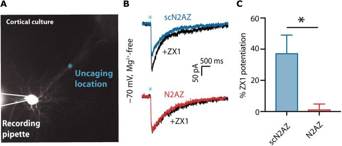 https://cdn.ncbi.nlm.nih.gov/pmc/blobs/bfb2/7458442/d8b0b12769e5/abb1515-F3.jpg