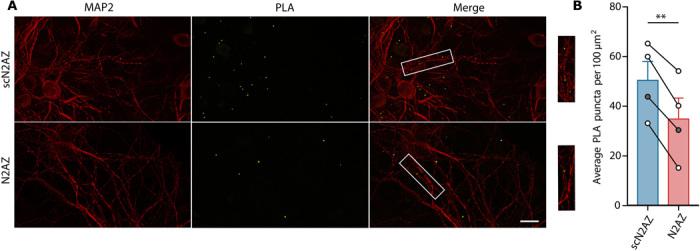 https://cdn.ncbi.nlm.nih.gov/pmc/blobs/bfb2/7458442/dbe10a393084/abb1515-F2.jpg