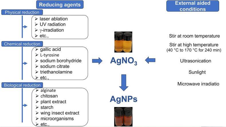 https://cdn.ncbi.nlm.nih.gov/pmc/blobs/bfb3/11324848/16aabca15343/gr1.jpg