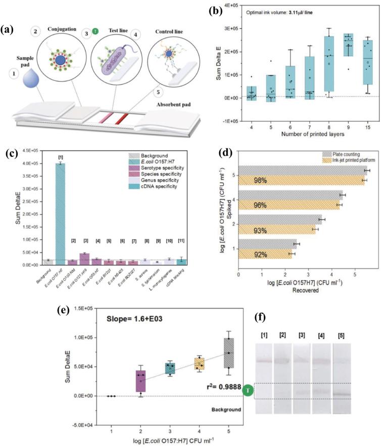 https://cdn.ncbi.nlm.nih.gov/pmc/blobs/bfb3/11350460/b7c849a6ec76/gr3.jpg