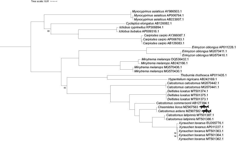 https://cdn.ncbi.nlm.nih.gov/pmc/blobs/bfb3/8967188/c033c133833d/TMDN_A_2055984_F0001_B.jpg