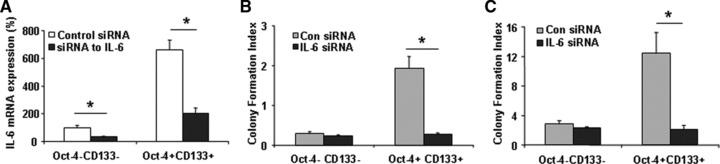https://cdn.ncbi.nlm.nih.gov/pmc/blobs/bfb6/3823102/3d7e0350b44f/jcmm0016-0160-f5.jpg