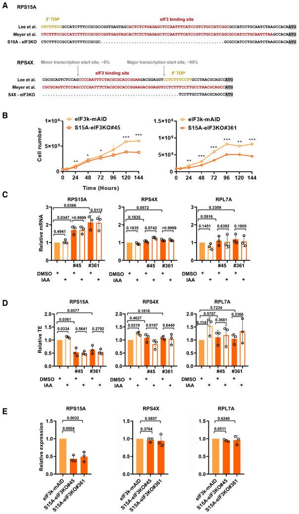 https://cdn.ncbi.nlm.nih.gov/pmc/blobs/bfb8/10267700/f94692c2a986/EMBJ-42-e112362-g003.jpg