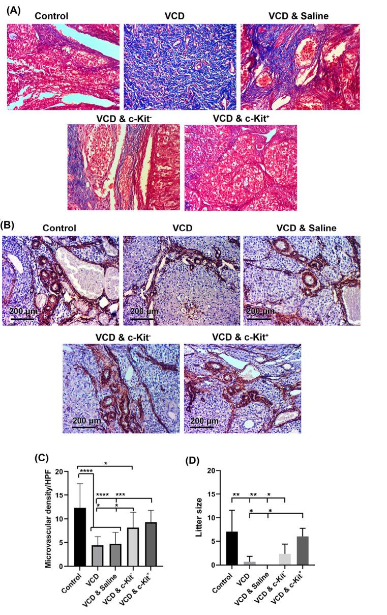 https://cdn.ncbi.nlm.nih.gov/pmc/blobs/bfb9/9376162/4d78de9991cb/bi-12-325-g005.jpg