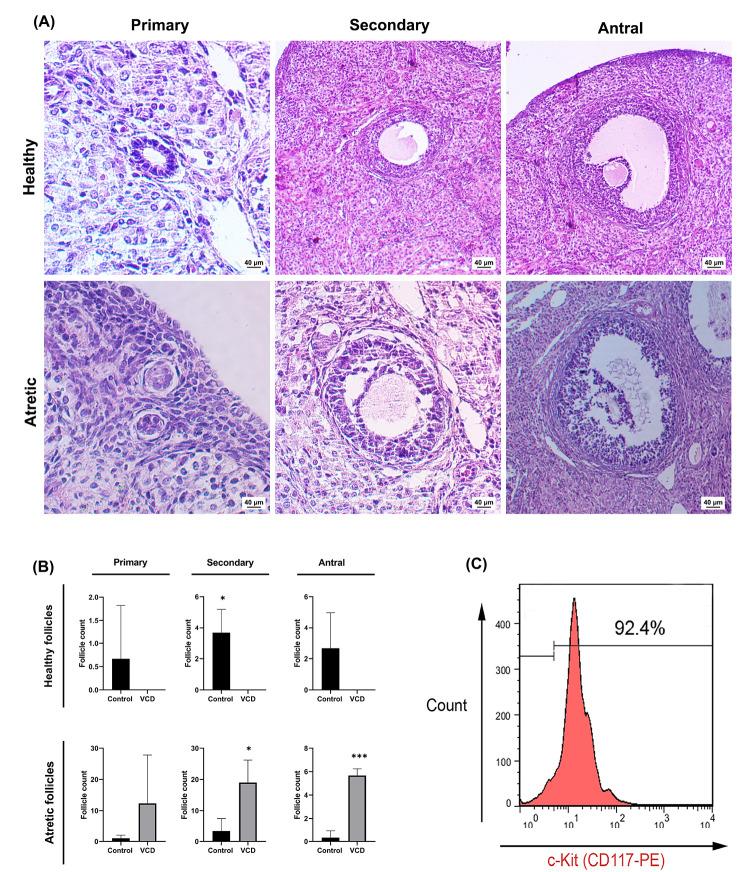https://cdn.ncbi.nlm.nih.gov/pmc/blobs/bfb9/9376162/8c551c97cf2e/bi-12-325-g002.jpg