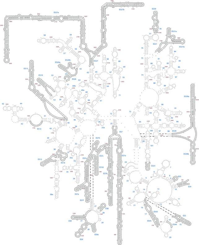 https://cdn.ncbi.nlm.nih.gov/pmc/blobs/bfb9/9561286/18cd070a80c3/gkac844fig8.jpg