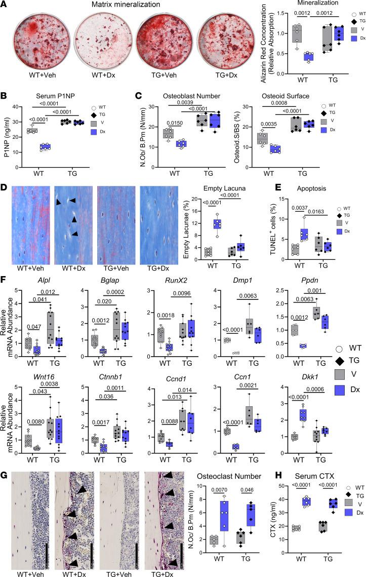 https://cdn.ncbi.nlm.nih.gov/pmc/blobs/bfba/11383176/ffc09484d7e5/jciinsight-9-175089-g084.jpg