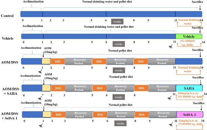 https://cdn.ncbi.nlm.nih.gov/pmc/blobs/bfbb/10250299/b2598c295d89/41598_2023_36555_Fig7_HTML.jpg