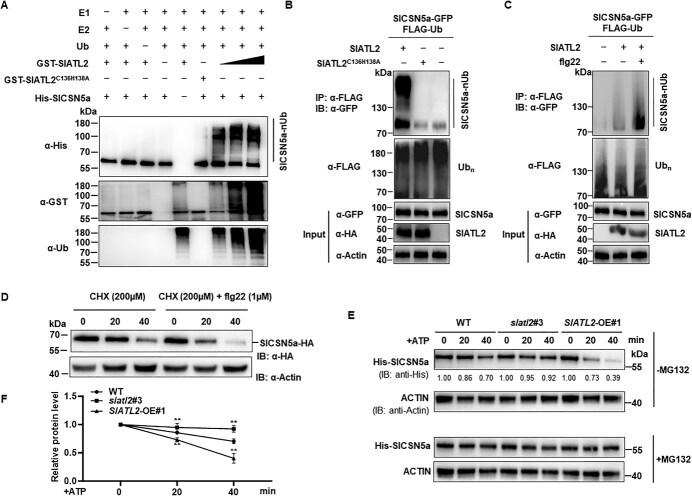 https://cdn.ncbi.nlm.nih.gov/pmc/blobs/bfbe/12038897/f1c110a7b1c3/uhaf078f6.jpg