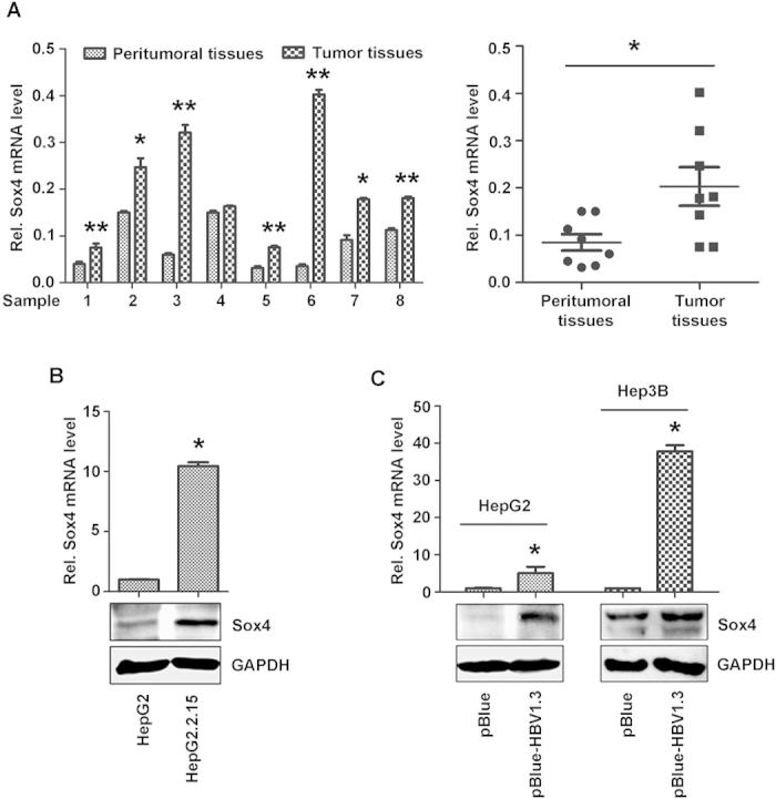 https://cdn.ncbi.nlm.nih.gov/pmc/blobs/bfc3/4429541/abe8ffa60642/srep10066-f1.jpg