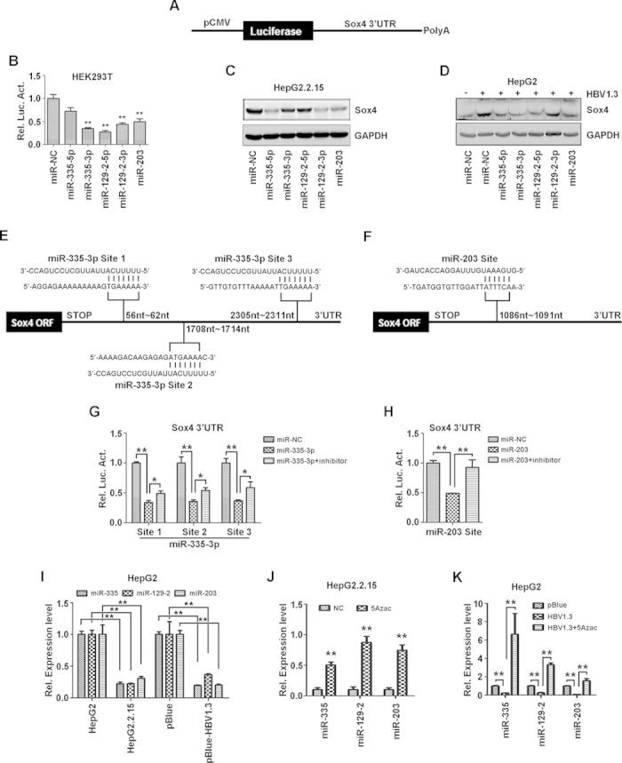 https://cdn.ncbi.nlm.nih.gov/pmc/blobs/bfc3/4429541/c97e22927dfa/srep10066-f3.jpg