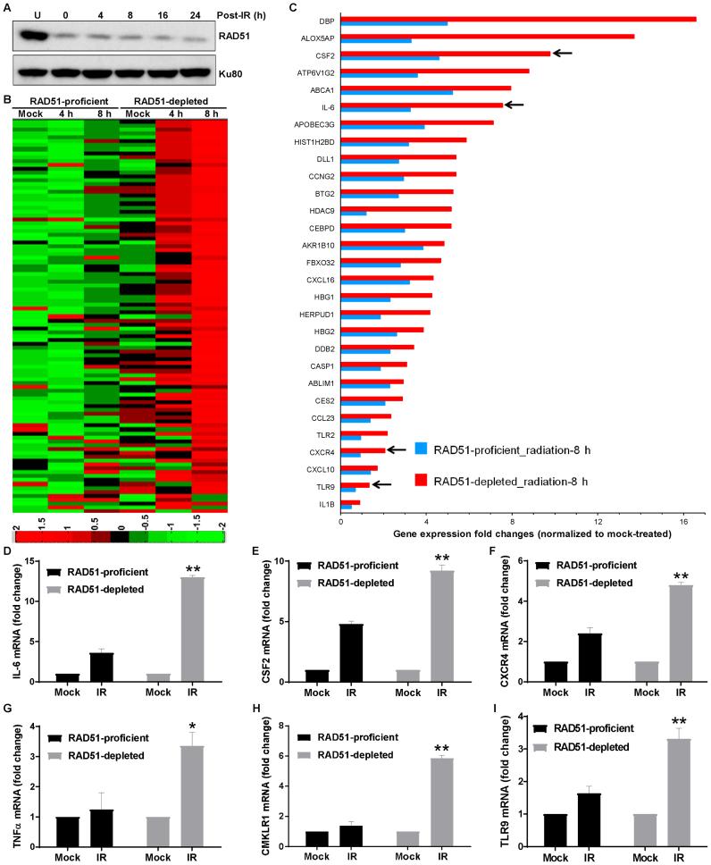 https://cdn.ncbi.nlm.nih.gov/pmc/blobs/bfc3/5416901/346d3c445323/gkx126fig1.jpg