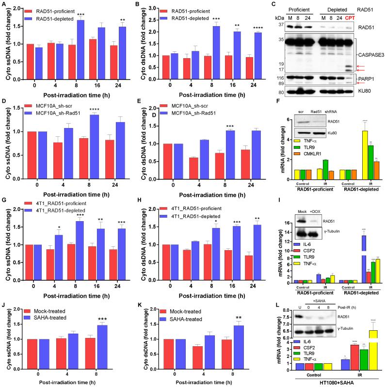 https://cdn.ncbi.nlm.nih.gov/pmc/blobs/bfc3/5416901/cafade876057/gkx126fig2.jpg
