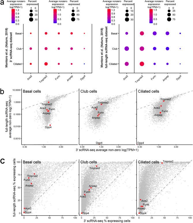 https://cdn.ncbi.nlm.nih.gov/pmc/blobs/bfc4/7576138/d7c075c1e639/41598_2020_74598_Fig1_HTML.jpg