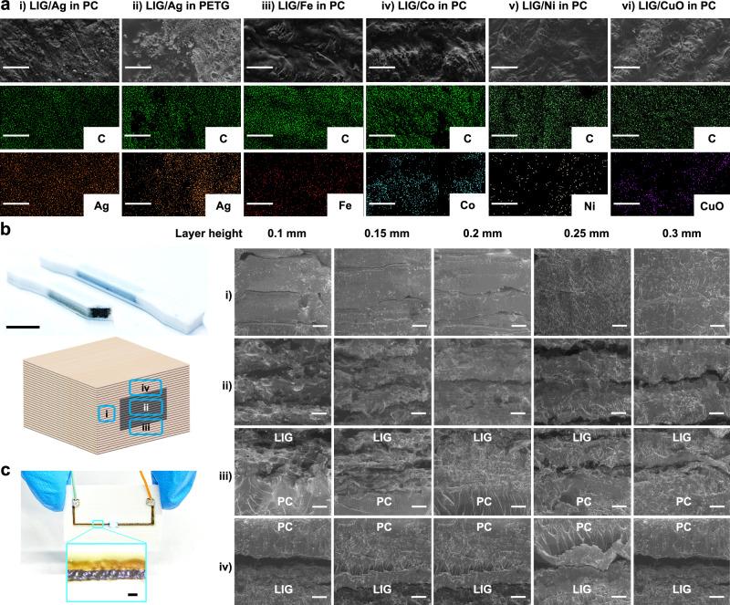 https://cdn.ncbi.nlm.nih.gov/pmc/blobs/bfc5/11133382/8f6ebafbdd66/41467_2024_48919_Fig2_HTML.jpg