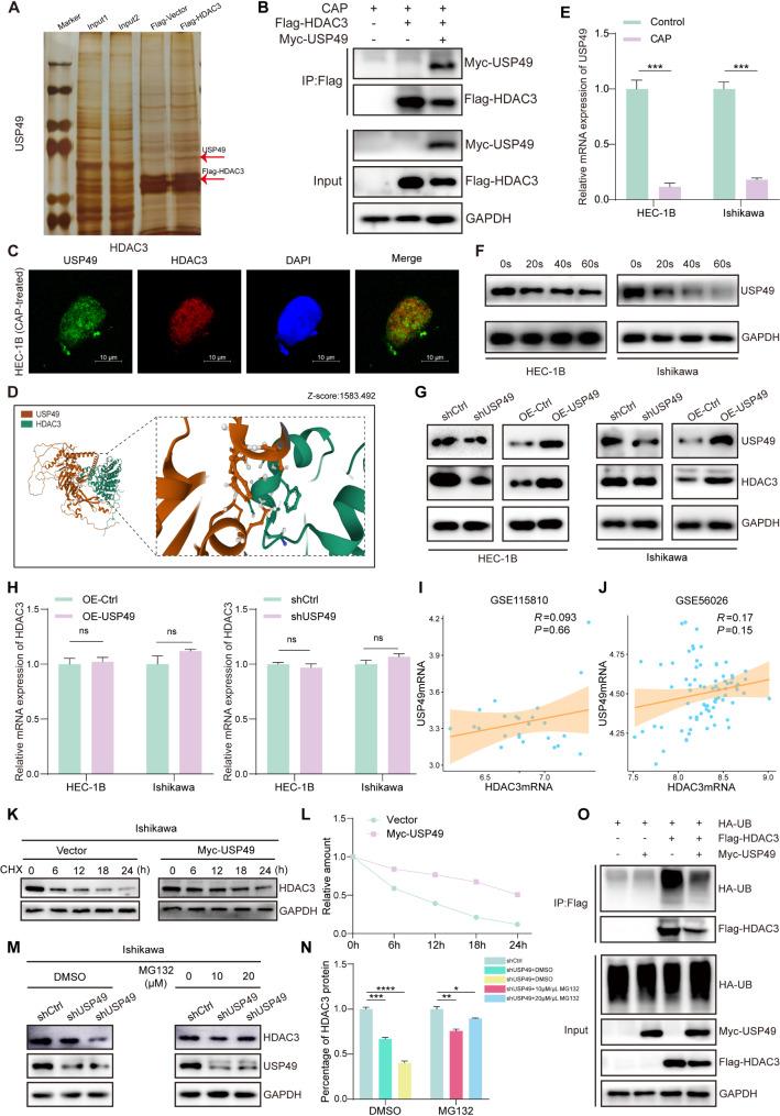 https://cdn.ncbi.nlm.nih.gov/pmc/blobs/bfc5/11998187/072fb9626bc9/12967_2025_6449_Fig5_HTML.jpg