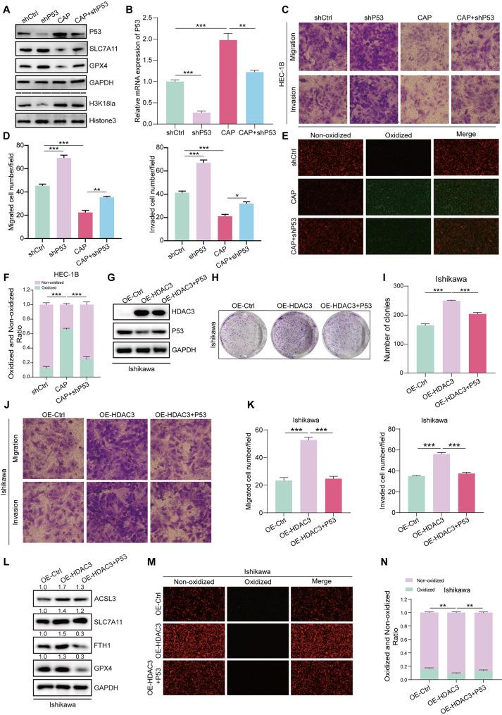 https://cdn.ncbi.nlm.nih.gov/pmc/blobs/bfc5/11998187/3227d7dd8382/12967_2025_6449_Fig8_HTML.jpg