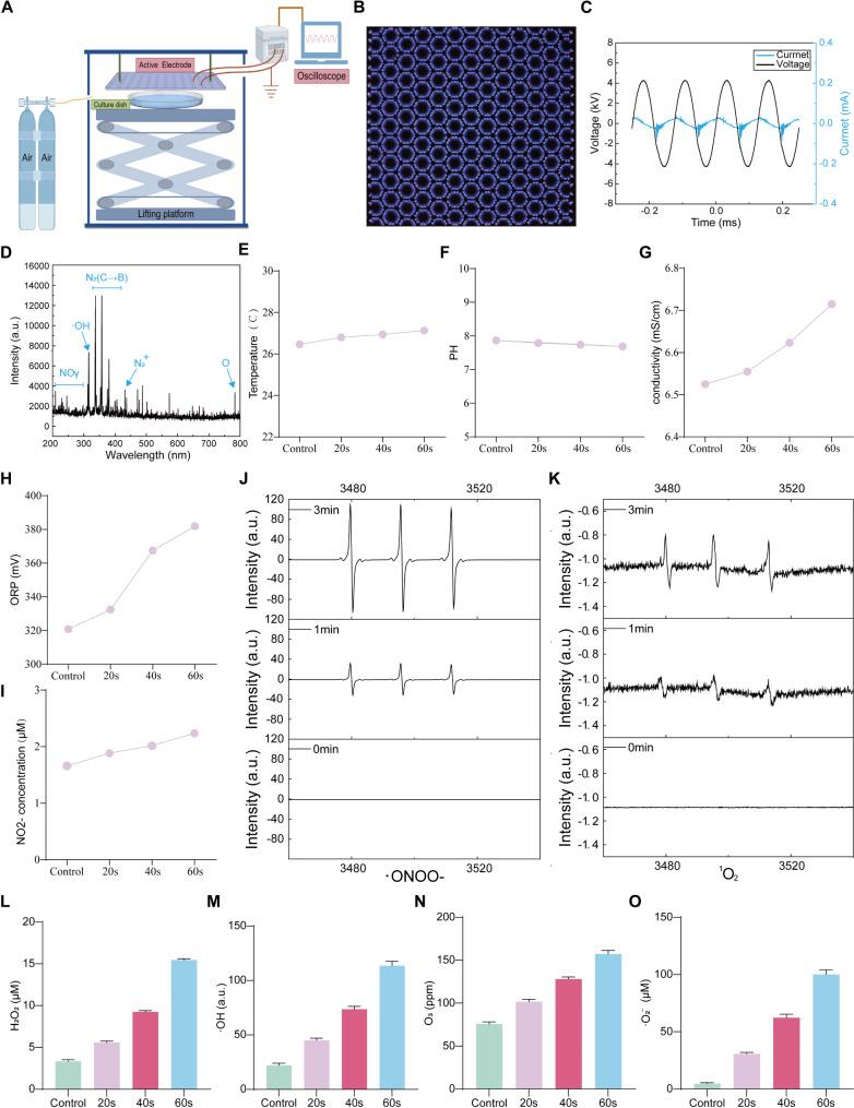 https://cdn.ncbi.nlm.nih.gov/pmc/blobs/bfc5/11998187/84c8c28213bd/12967_2025_6449_Fig1_HTML.jpg