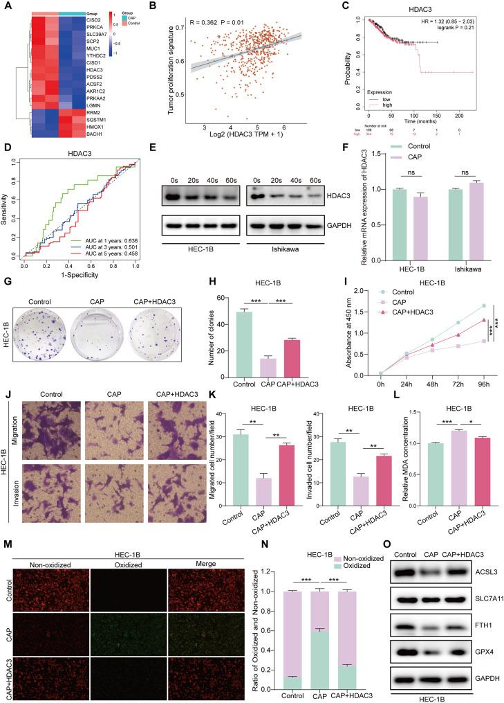 https://cdn.ncbi.nlm.nih.gov/pmc/blobs/bfc5/11998187/ac1ab73c8f5d/12967_2025_6449_Fig4_HTML.jpg