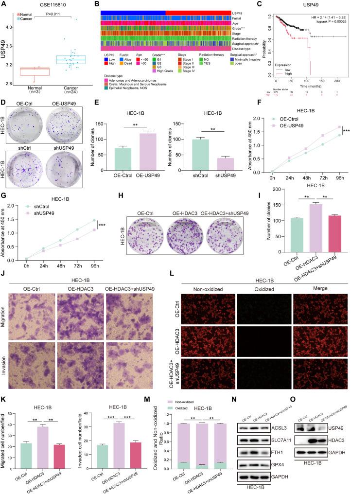 https://cdn.ncbi.nlm.nih.gov/pmc/blobs/bfc5/11998187/bb6d14403506/12967_2025_6449_Fig6_HTML.jpg
