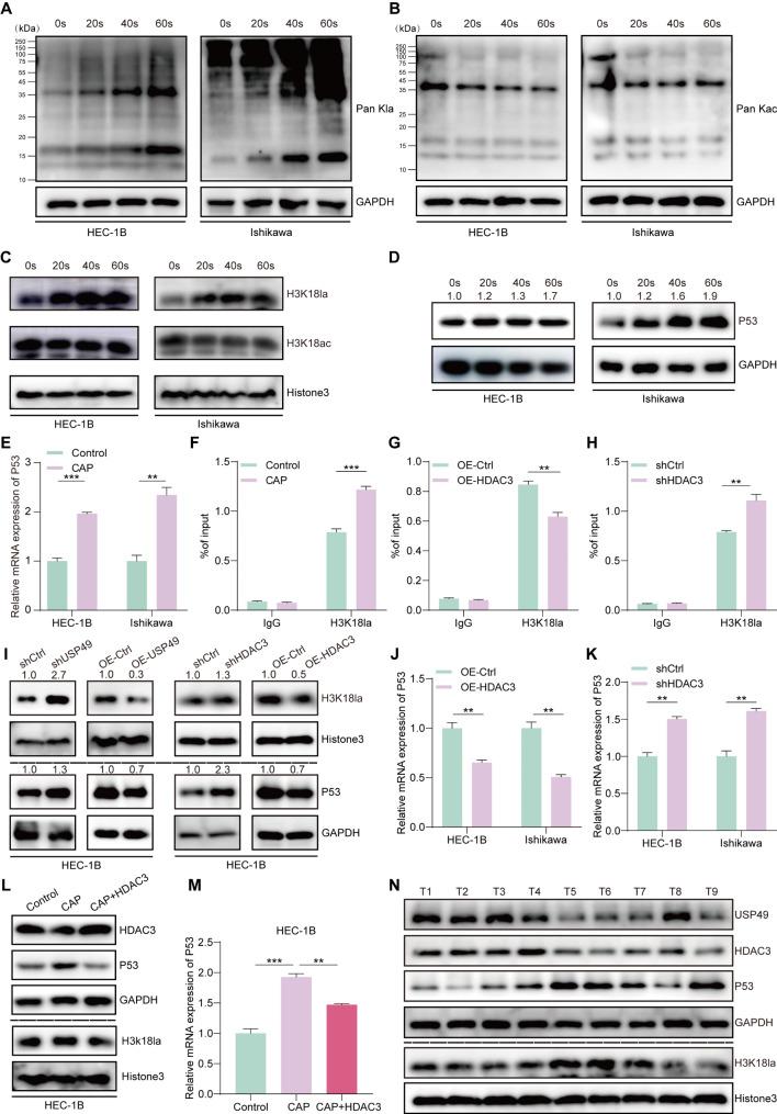 https://cdn.ncbi.nlm.nih.gov/pmc/blobs/bfc5/11998187/cb1013beead2/12967_2025_6449_Fig7_HTML.jpg