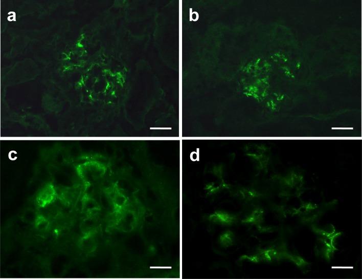 https://cdn.ncbi.nlm.nih.gov/pmc/blobs/bfc5/4000074/c046f9015b1d/tox-27-057-g006.jpg