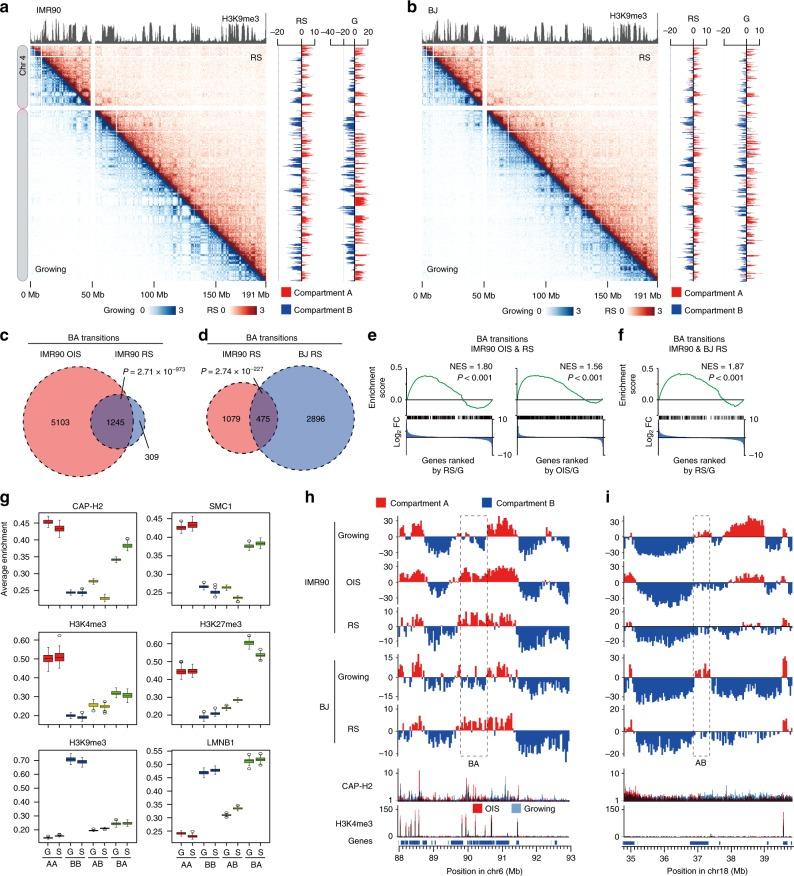 https://cdn.ncbi.nlm.nih.gov/pmc/blobs/bfc8/6908677/9de0ad4709fa/41467_2019_13604_Fig6_HTML.jpg