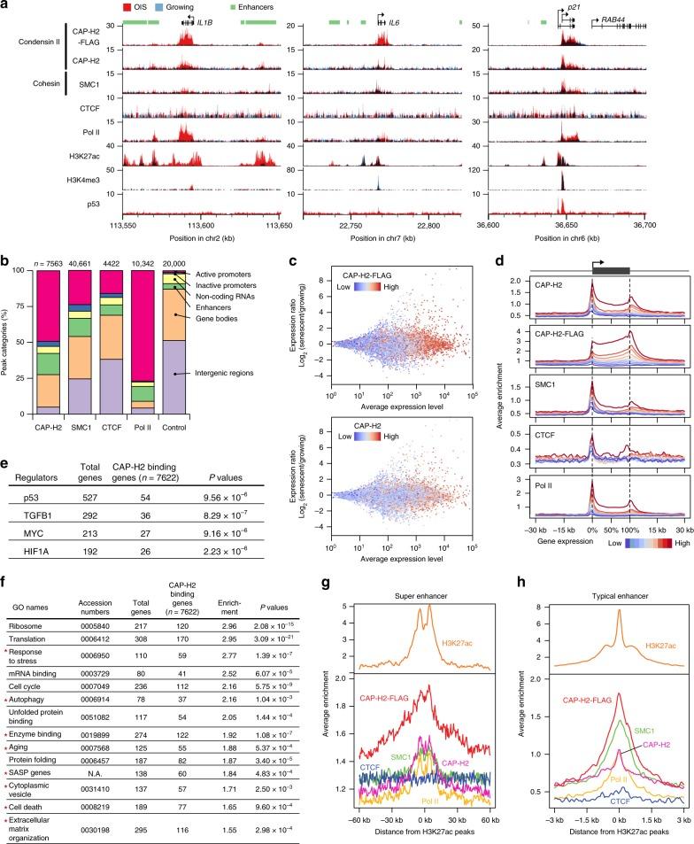 https://cdn.ncbi.nlm.nih.gov/pmc/blobs/bfc8/6908677/d0f4ac10674b/41467_2019_13604_Fig1_HTML.jpg