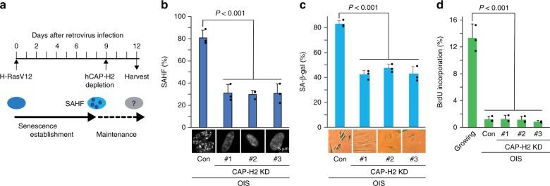 https://cdn.ncbi.nlm.nih.gov/pmc/blobs/bfc8/6908677/fcb765554690/41467_2019_13604_Fig7_HTML.jpg