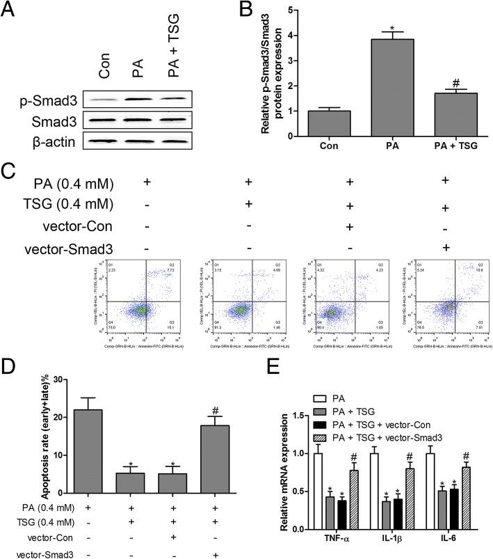 https://cdn.ncbi.nlm.nih.gov/pmc/blobs/bfc9/6379973/e8d3fa8a0879/11658_2018_125_Fig3_HTML.jpg