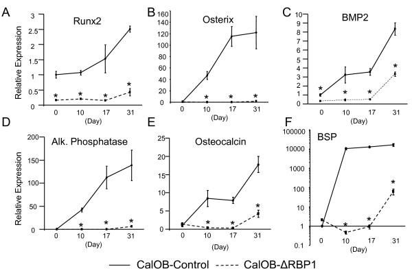 https://cdn.ncbi.nlm.nih.gov/pmc/blobs/bfcb/2888765/1b4e45df7910/1471-2474-11-104-3.jpg