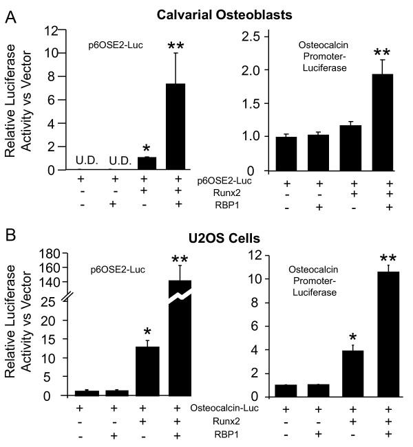 https://cdn.ncbi.nlm.nih.gov/pmc/blobs/bfcb/2888765/a6815a7a72ce/1471-2474-11-104-5.jpg