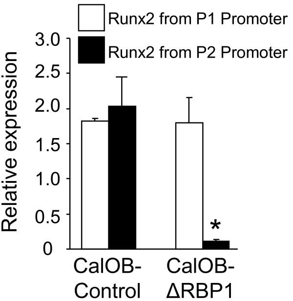 https://cdn.ncbi.nlm.nih.gov/pmc/blobs/bfcb/2888765/da15eca03398/1471-2474-11-104-4.jpg