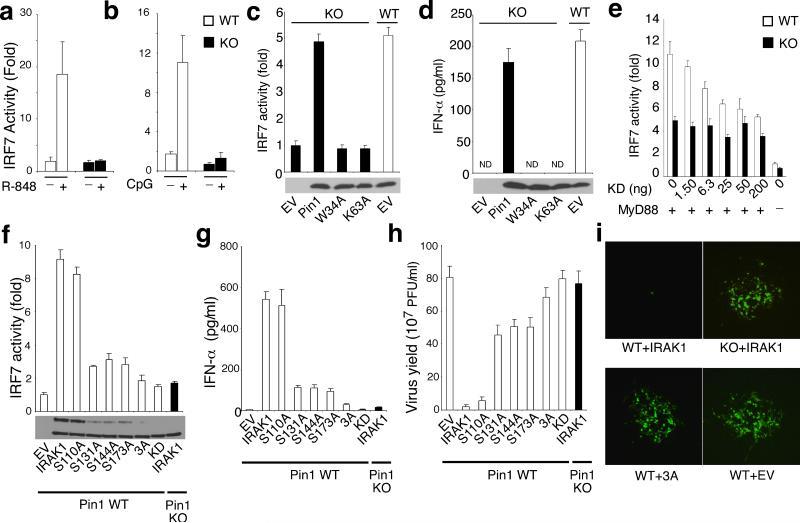 https://cdn.ncbi.nlm.nih.gov/pmc/blobs/bfcc/3298750/28c92ec25bc5/nihms-358244-f0006.jpg