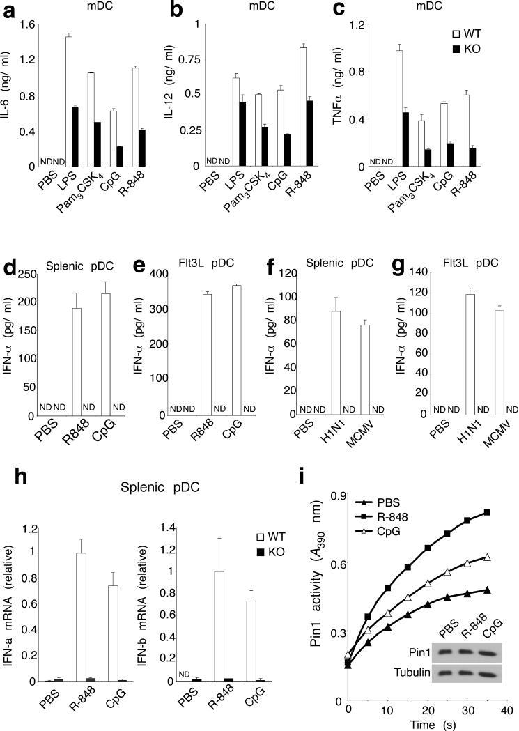 https://cdn.ncbi.nlm.nih.gov/pmc/blobs/bfcc/3298750/dde859aecfe8/nihms-358244-f0001.jpg
