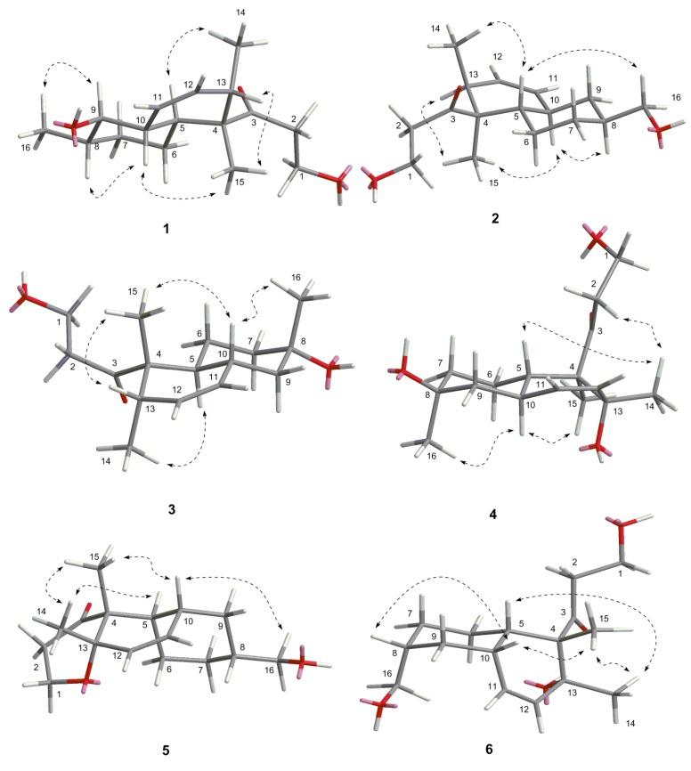 https://cdn.ncbi.nlm.nih.gov/pmc/blobs/bfcc/4626691/f78ab197b280/marinedrugs-13-06306-g003.jpg