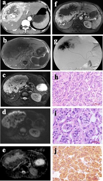 https://cdn.ncbi.nlm.nih.gov/pmc/blobs/bfd1/4583733/f26cdc9f9e8c/12880_2015_82_Fig2_HTML.jpg