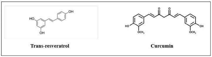 https://cdn.ncbi.nlm.nih.gov/pmc/blobs/bfd2/11051421/06f02b48ab58/life-14-00491-g001.jpg