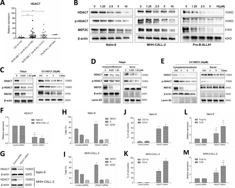 https://cdn.ncbi.nlm.nih.gov/pmc/blobs/bfd2/7483467/d494ef33ad2e/41419_2020_2949_Fig5_HTML.jpg