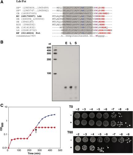 https://cdn.ncbi.nlm.nih.gov/pmc/blobs/bfd4/2887945/3940b61c9bf8/gkq054f2.jpg