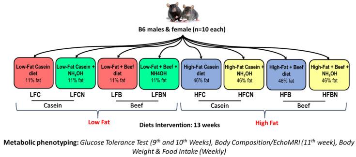 https://cdn.ncbi.nlm.nih.gov/pmc/blobs/bfd4/9268221/924d67664573/nutrients-14-02583-g001.jpg