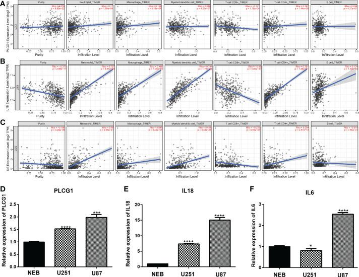 https://cdn.ncbi.nlm.nih.gov/pmc/blobs/bfd9/9808047/4009c587651c/fonc-12-1015850-g007.jpg
