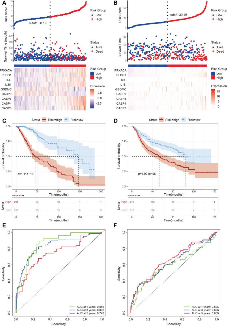 https://cdn.ncbi.nlm.nih.gov/pmc/blobs/bfd9/9808047/46a6a00cdb36/fonc-12-1015850-g003.jpg