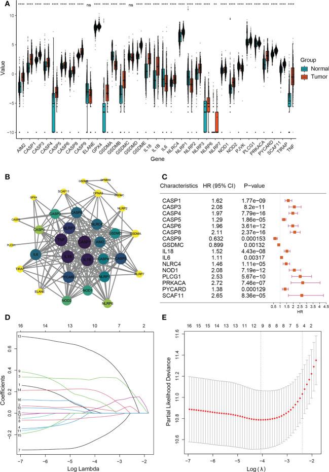https://cdn.ncbi.nlm.nih.gov/pmc/blobs/bfd9/9808047/673d6961044e/fonc-12-1015850-g002.jpg