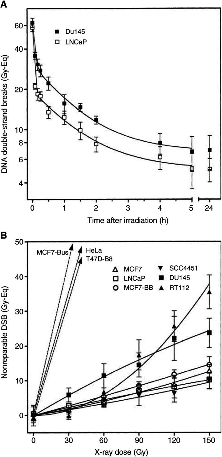 https://cdn.ncbi.nlm.nih.gov/pmc/blobs/bfda/2394378/e20b43155f4b/89-6601133f5.jpg