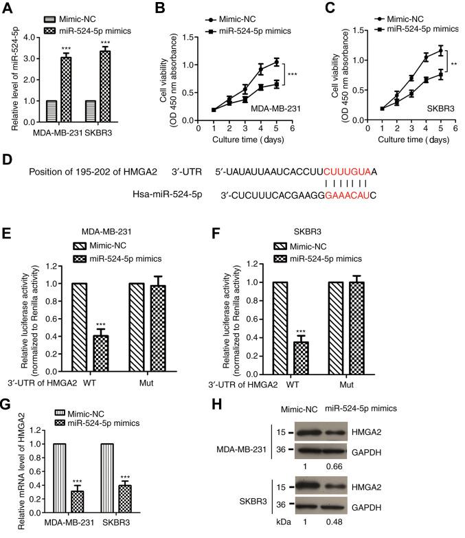 https://cdn.ncbi.nlm.nih.gov/pmc/blobs/bfdb/8060801/8a8b25f32292/mmr-23-06-12085-g03.jpg