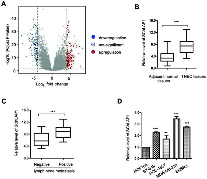 https://cdn.ncbi.nlm.nih.gov/pmc/blobs/bfdb/8060801/97a4b2c1a1fd/mmr-23-06-12085-g00.jpg